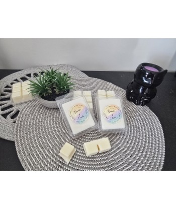 Wax melt de granada y ciruela: fragancia afrutada, vibrante y elegante