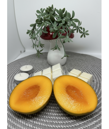 wax melts de olor a mango