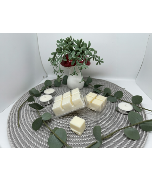 wax melt de eucalipto